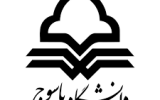 مشاور وزیر علوم: دانشگاه یاسوج فراتر از جایگاه استانی عمل کرده است