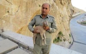 یک عمر فداکاری؛ از عشق به حیاتوحش تا شهادت یک عمر فداکاری؛ از عشق به حیاتوحش تا شهادت