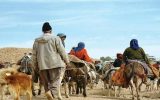 پرداخت تسهیلات به جامعه عشایری و روستایی کهگیلویه و بویراحمد