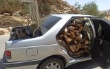 خودروی شوتی حامل چوب قاچاق در گچساران توقیف شد