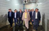 ضرورت بهره‌برداری کامل از ظرفیت کشتارگاه صنعتی یاسوج